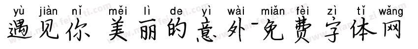 遇见你 美丽的意外字体转换